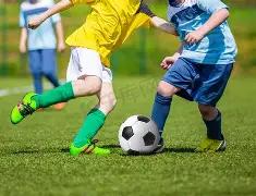 成都女乒世,界杯激战正,郑怡静将战,万博体育平台,万博体育官方网站,万博体育登录入口,万博体育app下载