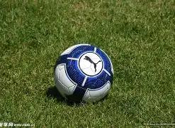 小众运动热,飞盘,陆地冲浪等,万博体育平台,万博体育官方网站,万博体育登录入口,万博体育app下载