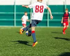 年加密货币,钱包推荐,新手必看的,万博体育平台,万博体育官方网站,万博体育登录入口,万博体育app下载