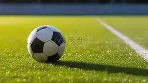 财经资讯每日速递